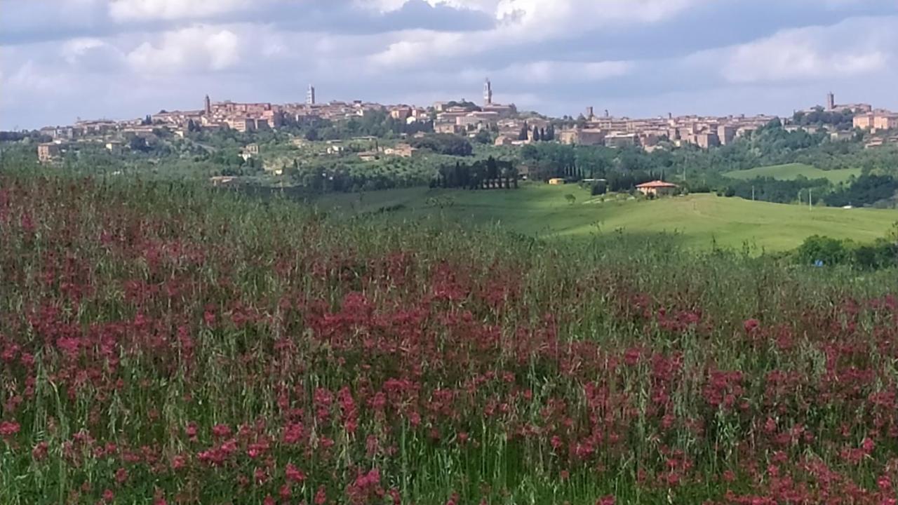 Dago Farmhouse Siena Eksteriør bilde