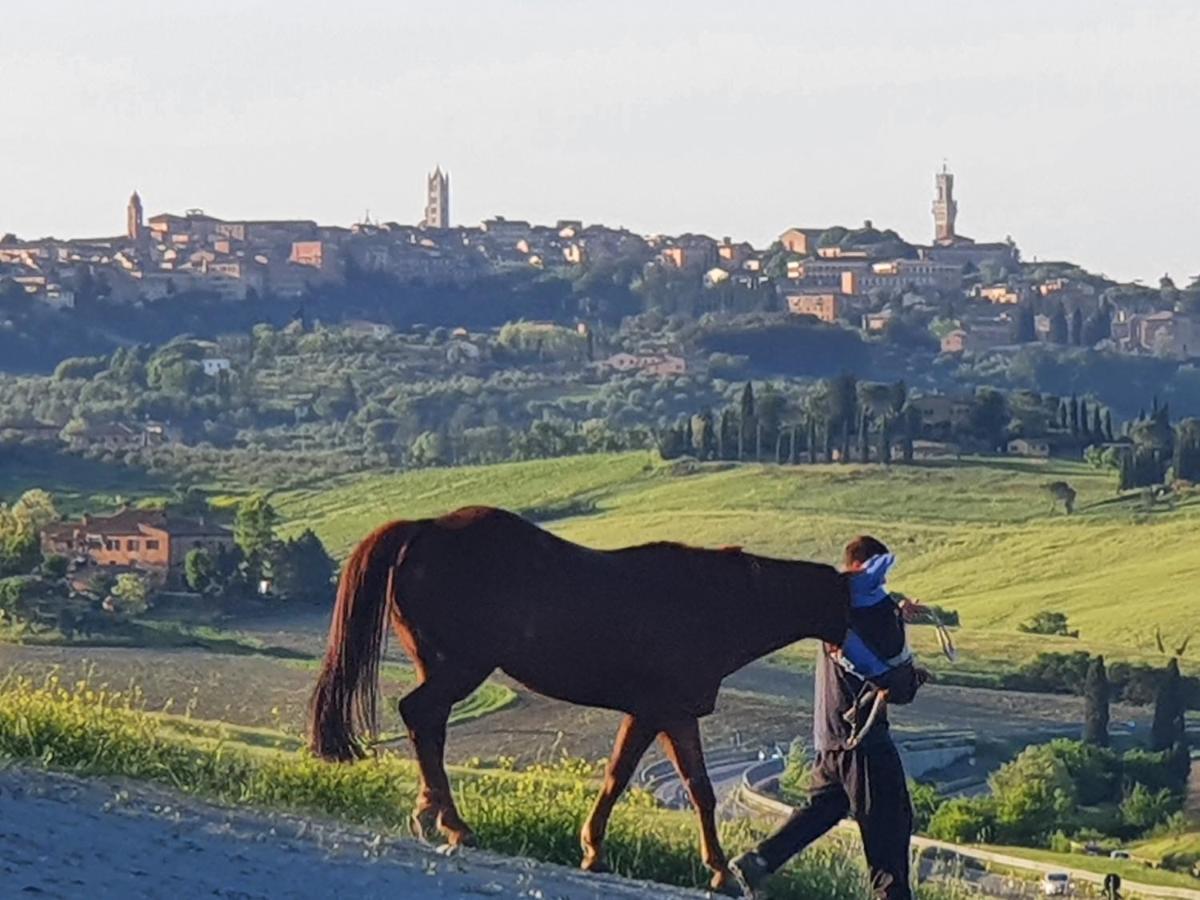Dago Farmhouse Siena Eksteriør bilde